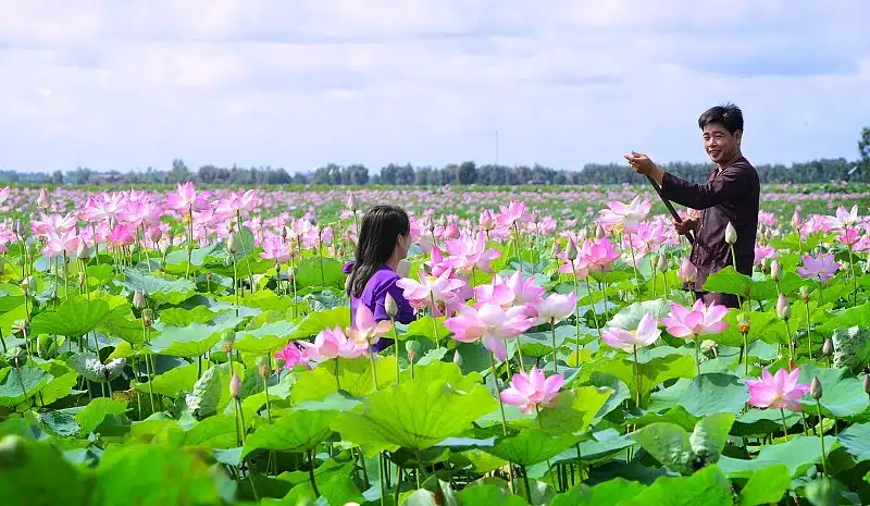 THUÊ XE ĐI TỈNH